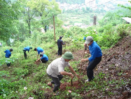 Chính sách giao đất, giao rừng cần tạo điều kiện cho người nhận đất, nhận rừng. (23/8/2017)